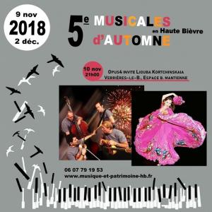 581-E-concert-spectacle-musique-danse-theatre-image(50)MPHB_18-11-10_Verrieres.jpg
